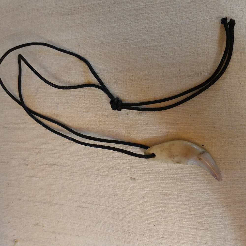 Claw necklace